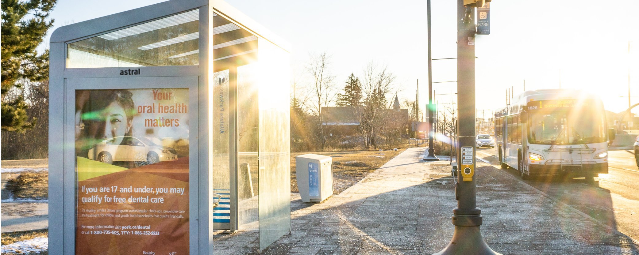 Bus shelter with advertisement on side of road