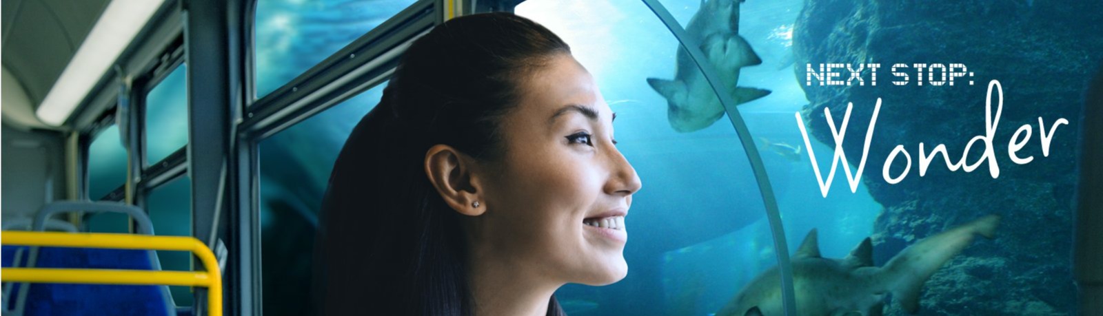 Transit rider in a bus looking at an aquarium